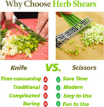 2025 Upgraded Herb Scissors with Sharp Stainless Steel Blades for Fresh Herbs and Cooking