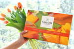 Taylors of Harrogate Assorted Green & Herbal Teas Sampler Variety Pack Gift Box