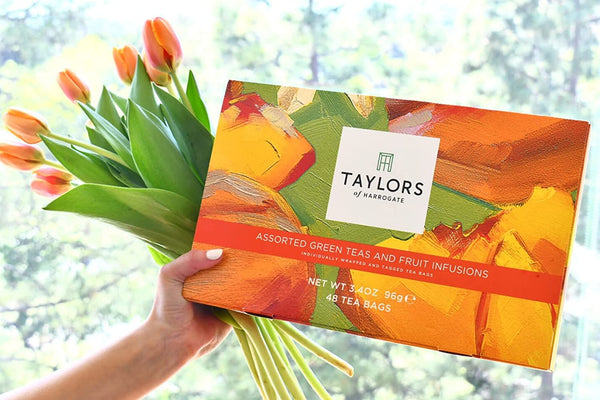 Taylors of Harrogate Assorted Green & Herbal Teas Sampler Variety Pack Gift Box