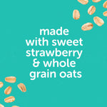 Beech-Nut Toddler Snacks Oaty Bars Granola Bars for Babies Toddlers