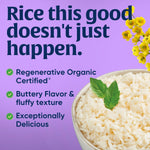 Lundberg Family Farms Organic Jasmine Rice, California White, 32 Oz