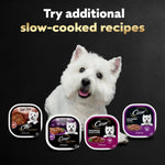 cesar steak lovers variety pack, 3.5 oz easy peel trays, 24 count, wet dog food for adult dogs