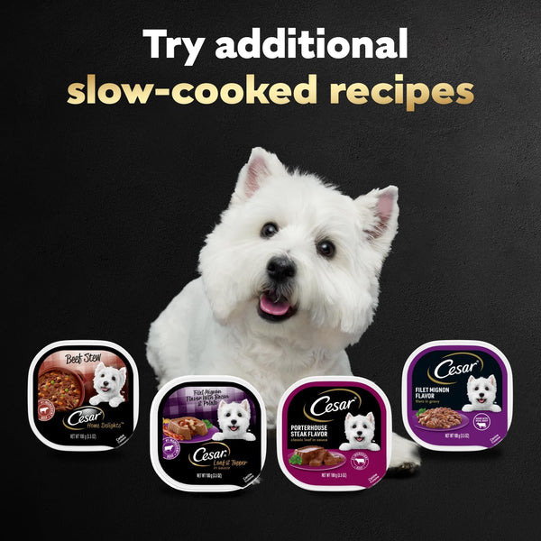 cesar steak lovers variety pack, 3.5 oz easy peel trays, 24 count, wet dog food for adult dogs