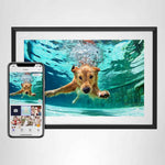 10.1'' digital picture frame with 32gb storage and 1280x800 ips touchscreen for sharing photos and videos