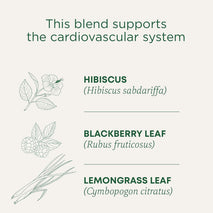 Organic Hibiscus Tea - 16 Tea Bags - Kosher, Non-GMO, Caffeine-Free, Compostable
