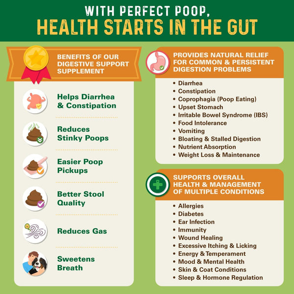 Perfect Poop Digestion & General Health Cheddar Cheese Supplement for Dogs: Fiber, Prebiotics, Probiotics & Enzymes Relieve Digestive Issues
