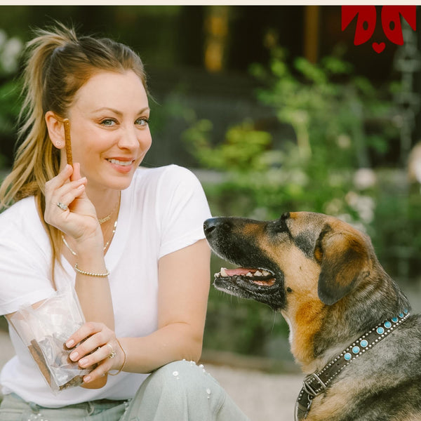 Soft Beef Jerky Dog by Kaley Cuoco, Air Dried, Free Range Beef, 6 Oz