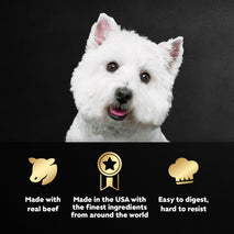 cesar steak lovers variety pack, 3.5 oz easy peel trays, 24 count, wet dog food for adult dogs