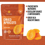 Dried Apricots No Sugar Added, 1 Pound, Turkish Apricots Dried Fruit