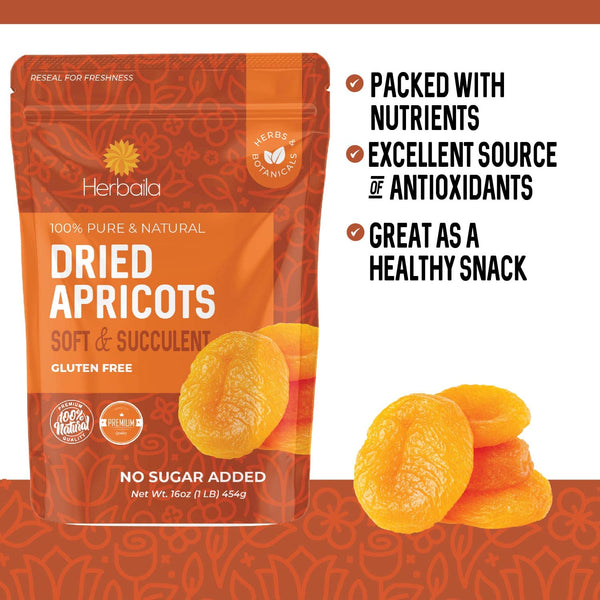 Dried Apricots No Sugar Added, 1 Pound, Turkish Apricots Dried Fruit