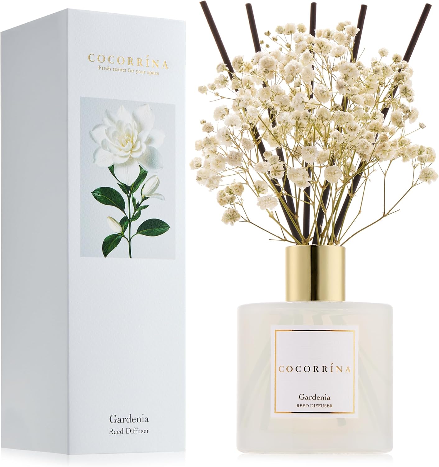 Cocorrína Premium Reed Diffuser Set with Preserved Baby's Breath & Cotton Stick Cashmere Vanilla | 6.7 fl oz Scent Fragrance Oil Diffuser for Bedroom Bathroom Home Décor
