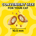 Temptations Cat Classic Crunchy and Soft in Tasty Chicken Flavor 30 oz Tub