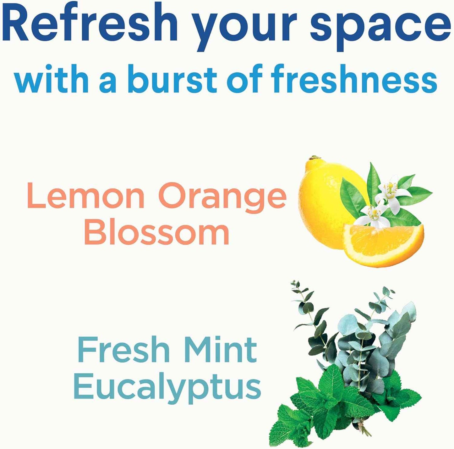 Clorox Disinfecting Mist, Eucalyptus Peppermint, Household Essentials, 1 Spray and 1 Refill, 16 oz Each
