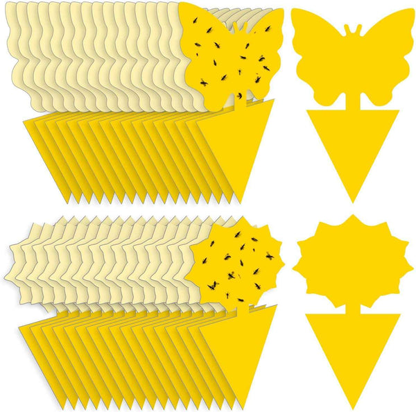 Yello Sticky Fruit Fly and Fungus Gnat Traps 36 Pack No Harm and Odorless for Indoor Outdoor Use Protect Plants