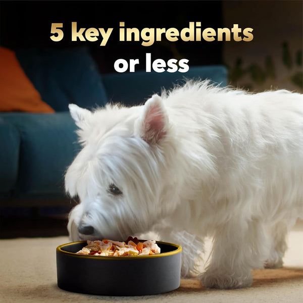 cesar simply crafted wet dog food toppers for dry food, chicken, carrots, potatoes & peas and chicken, sweet potato, apple, barley & spinach variety pack, 8 count, pack of 2
