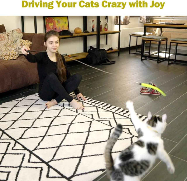 Cat Toys for Indoor Cats, Interactive Cat Toy 2PCS Retractable Wand Toy and 9PCS Cat Feather Toys Refills, Funny Kitten Toys Cat Fishing Pole Toy for Bored Indoor Cats Chase and Exercise