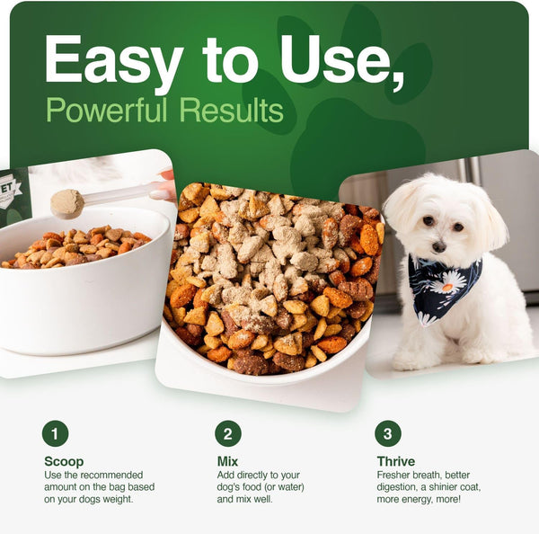Iron Paws human-grade superfood powder for dogs dental health longevity hip joint gut allergies immune support skin coat 3.5 oz