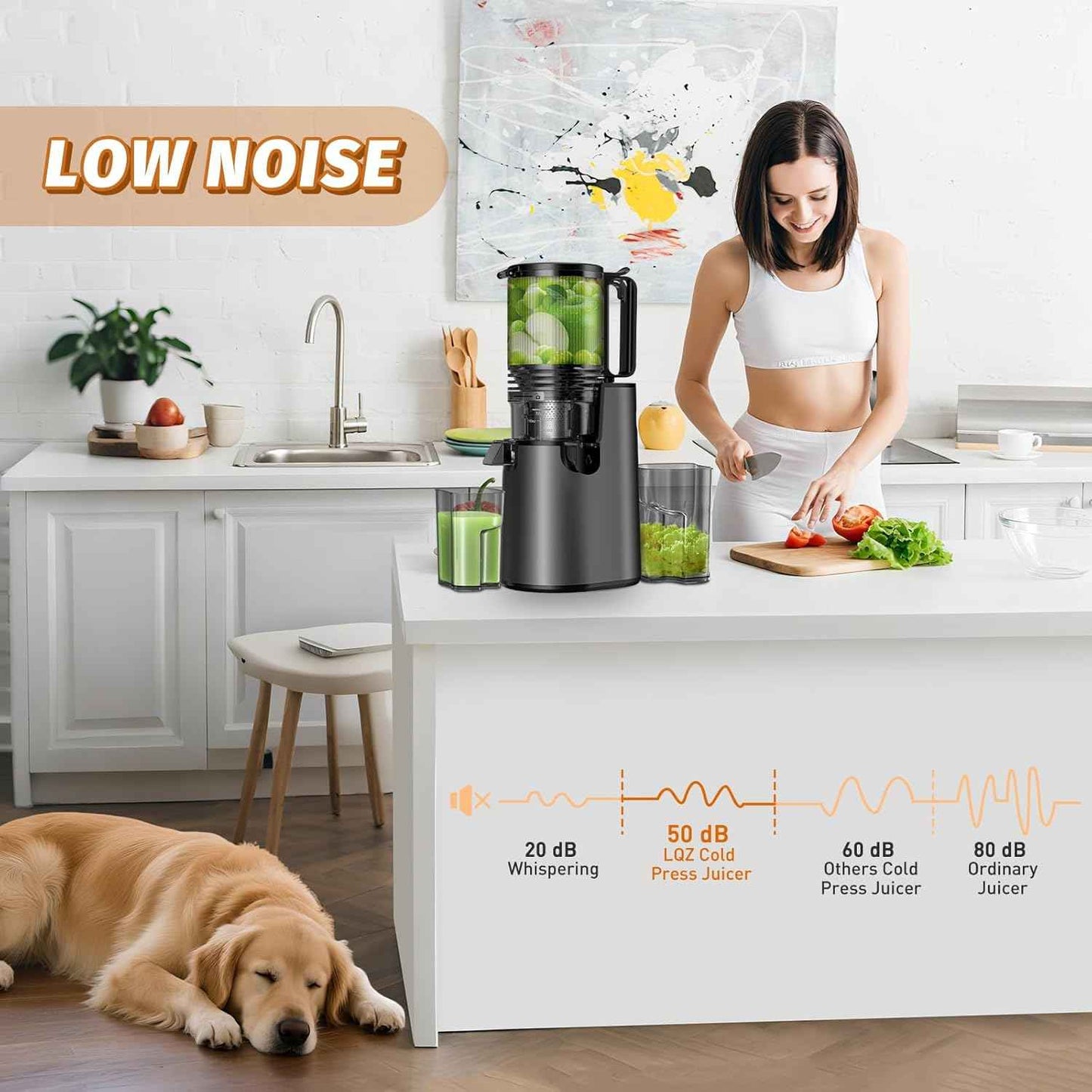 Cold Press Juicer, Juicer Machines with 5.4" Wide Feed Chute for Juice Extractor, Professional Slow Masticating Juicer for Whole Vegetables & Fruits with High Juice Yield, Easy to Clean (Black)