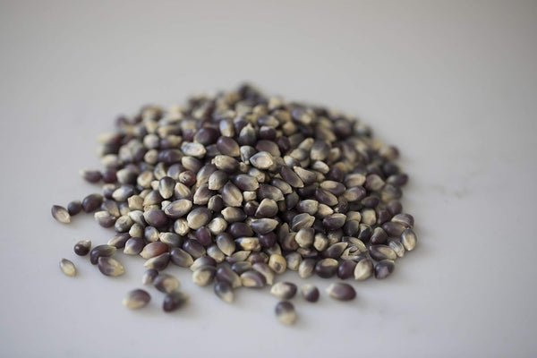 Blue Popcorn Kernels from Amish Country, 6 Pound Bag, Non-GMO and Gluten Free