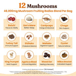 venture pal 48000mg lion's mane mushroom coffee with 12 adaptogenic mushrooms, 40 servings, instant coffee