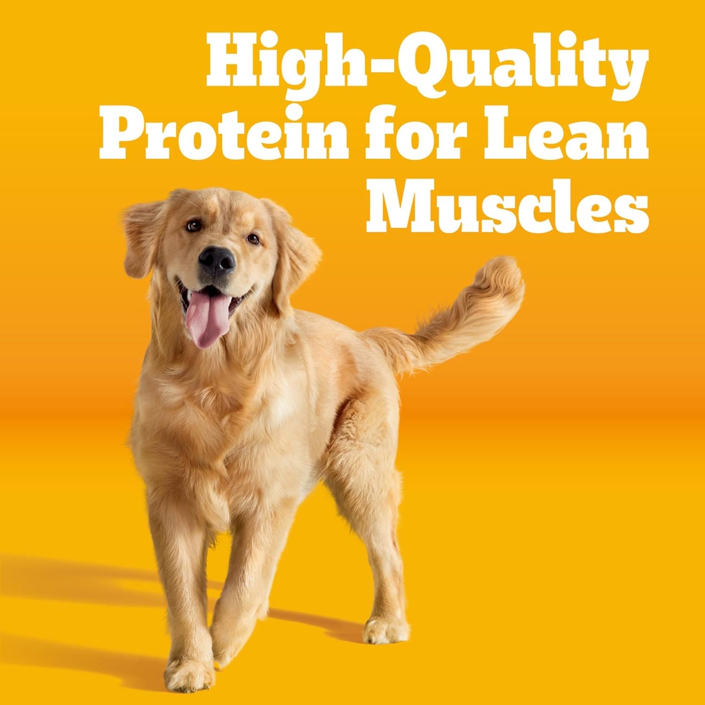 Pedigree Complete Nutrition Adult Dry Dog Food Steak & Vegetable Flavors, 18 lb. Bag