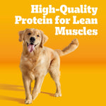 Pedigree Complete Nutrition Adult Dry Dog Food, Steak and Vegetable Flavors, 18 lb Bag, High-Quality Protein and 36 Vitamins