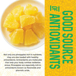 Dried Pineapple Chunks, 1 Pound, All Natural, Non-GMO, Lightly Sweetened
