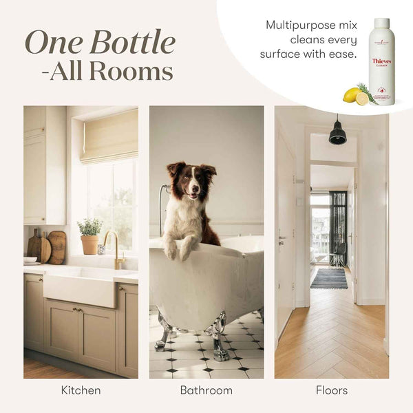 Thieves Household Cleaner | 14.4 oz | Plant-Based Multi-Surface Solution Infused with Essential Oils | Dilute for Floors, Carpets, Glass, Counters, Appliances, and General Home Cleaning
