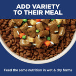 Hill's Science Diet Sensitive Stomach & Skin Adult Dog Food Small & Mini Breeds Chicken Recipe 4 lb Bag
