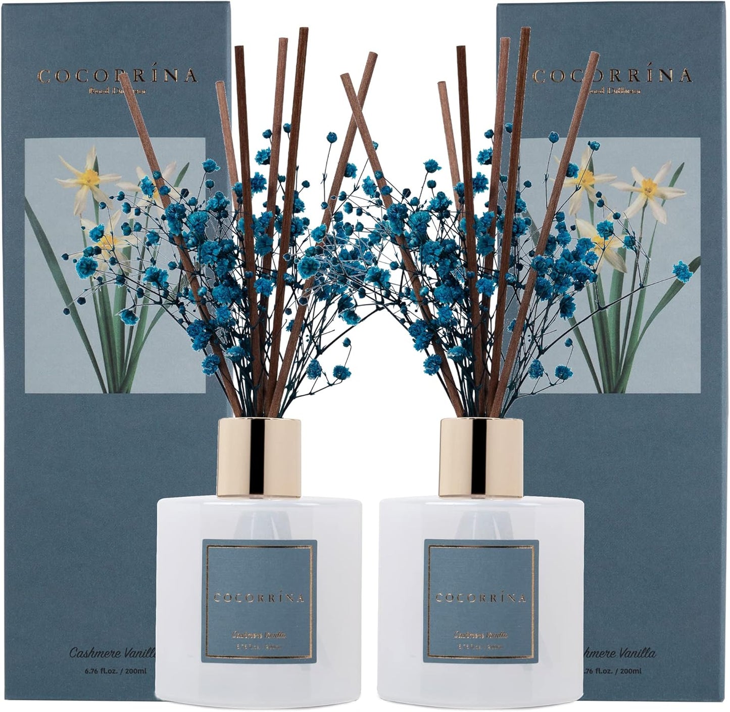 Cocorrína Premium Reed Diffuser Set with Preserved Baby's Breath & Cotton Stick Cashmere Vanilla | 6.7 fl oz Scent Fragrance Oil Diffuser for Bedroom Bathroom Home Décor