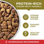 Purina ONE Dry Dog Food Lamb and Rice Formula, 31.1 lb Bag, Red Bag, Made in USA