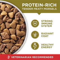 Purina ONE Dry Dog Food Lamb and Rice Formula, 31.1 lb Bag, Red Bag, Made in USA