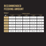 Purina Pro Plan High Protein Puppy Food Shredded Blend Chicken & Rice Formula - 6 lb Bag