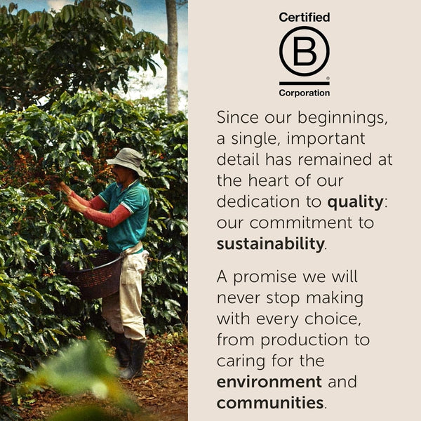 illy Coffee Pods for Keurig Machines, 100% Arabica, 32 Count, 1 Pack