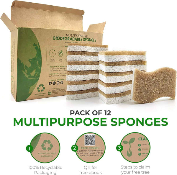Natural Compostable Cellulose Coconut Walnut Kitchen Sponges 12 Pack Gentle Eco Friendly Daily Cleaning