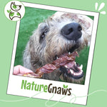 Beef Gullet Springs for Dogs 7-8 inches, 6 Count, Rawhide Free