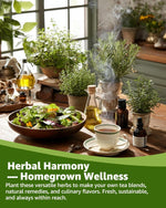 Herb Seeds Variety Pack for Planting Indoor & Outdoor