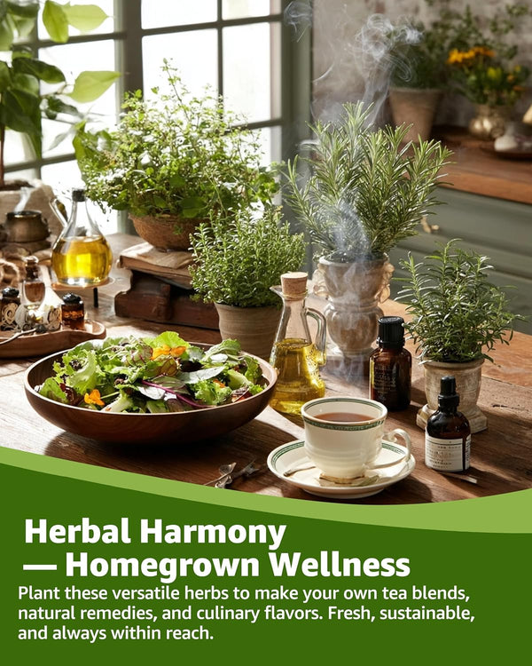 Herb Seeds Variety Pack for Planting Indoor & Outdoor