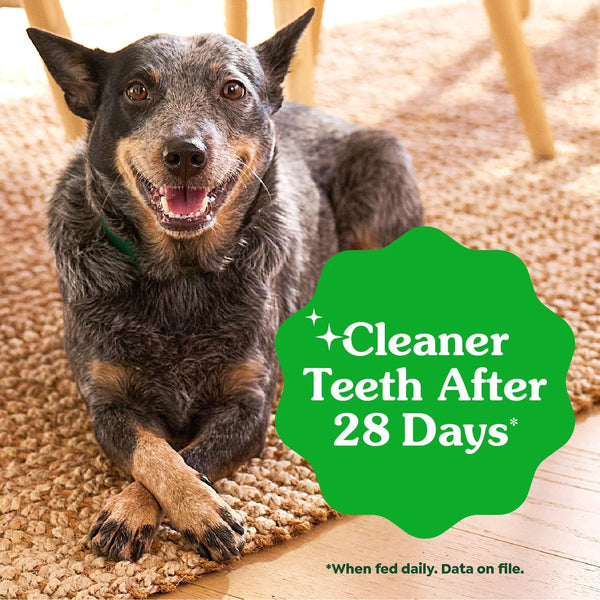 greenies veterinarian-recommended adult natural dental dog treats, original flavor, 36 oz. pack, 36 count, regular size