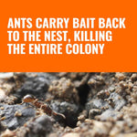 terro t1813b liquid ant baits outdoor ready-to-use terro ant traps kills household ants 12 stakes