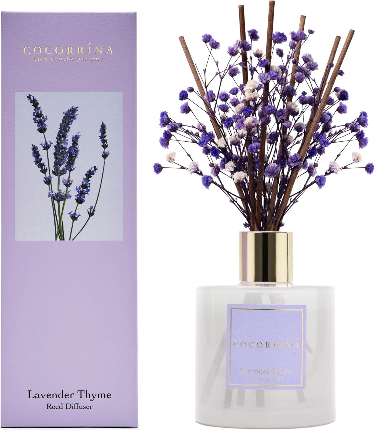 Cocorrína Premium Reed Diffuser Set with Preserved Baby's Breath & Cotton Stick Cashmere Vanilla | 6.7 fl oz Scent Fragrance Oil Diffuser for Bedroom Bathroom Home Décor