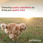 Diamond Naturals Skin and Coat All Life Stages Salmon and Potato dry dog food 30 pound pack