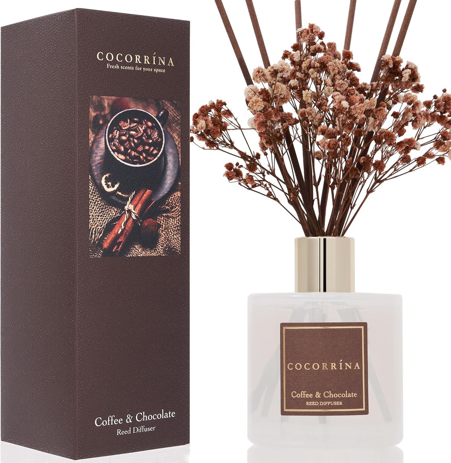 Cocorrína Premium Reed Diffuser Set with Preserved Baby's Breath & Cotton Stick Cashmere Vanilla | 6.7 fl oz Scent Fragrance Oil Diffuser for Bedroom Bathroom Home Décor