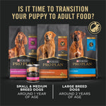 Purina Pro Plan High Protein Dry Puppy Food, Chicken and Rice Formula, 6 lb. Bag