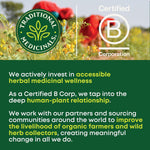 Organic Hibiscus Tea - 16 Tea Bags - Kosher, Non-GMO, Caffeine-Free, Compostable
