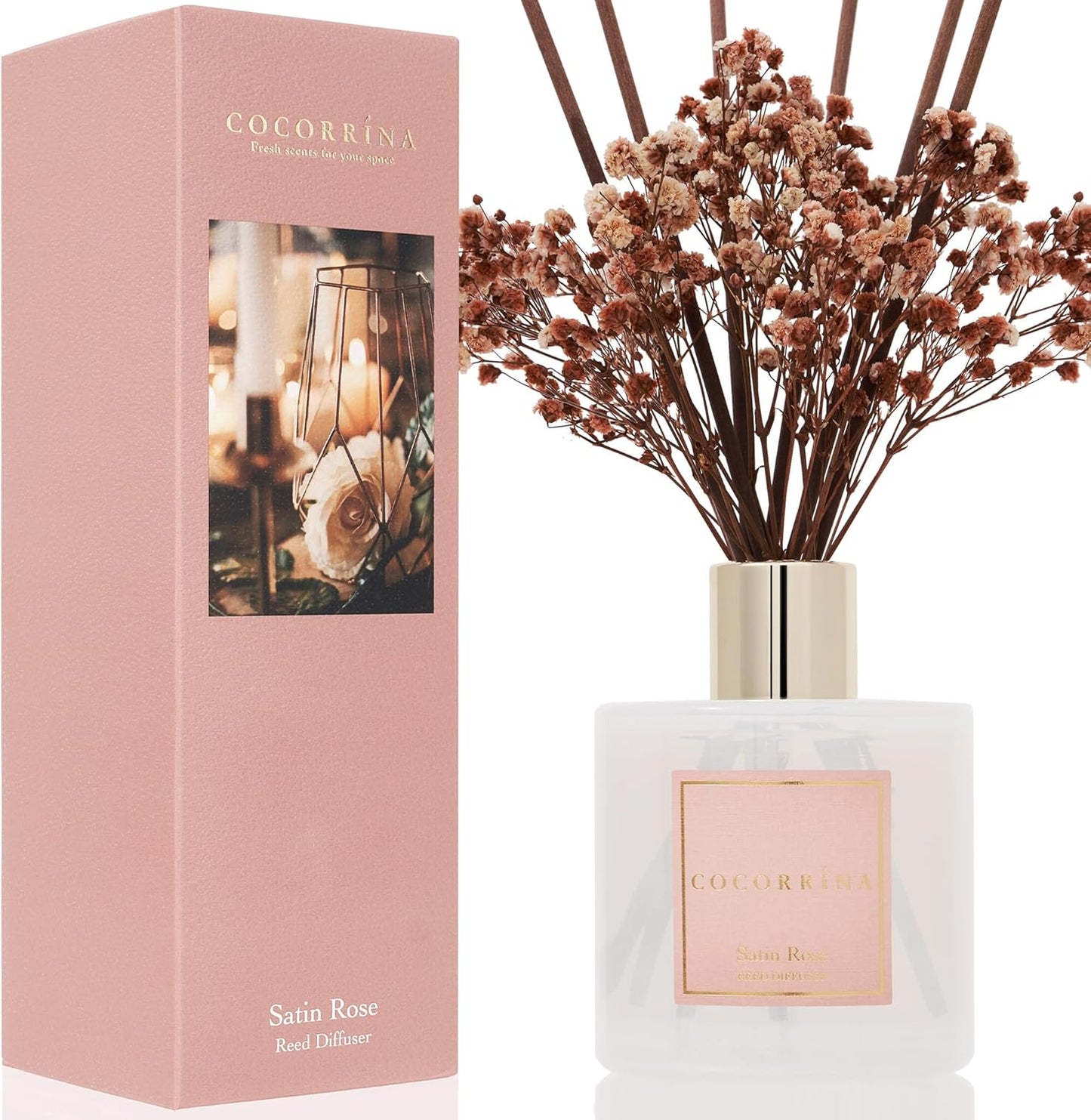 Cocorrína Premium Reed Diffuser Set with Preserved Baby's Breath & Cotton Stick Cashmere Vanilla | 6.7 fl oz Scent Fragrance Oil Diffuser for Bedroom Bathroom Home Décor