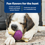 PetSafe Busy Buddy Natural Rawhide Rings Size C Peanut Butter & Original Rawhide Flavored Treats 24-Pack