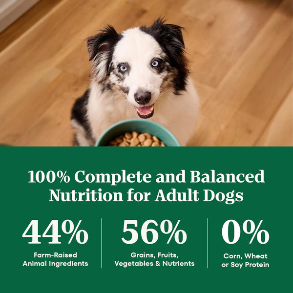nutro natural choice adult dry dog food, chicken & brown rice recipe, 30 lb bag, supports healthy skin and coat
