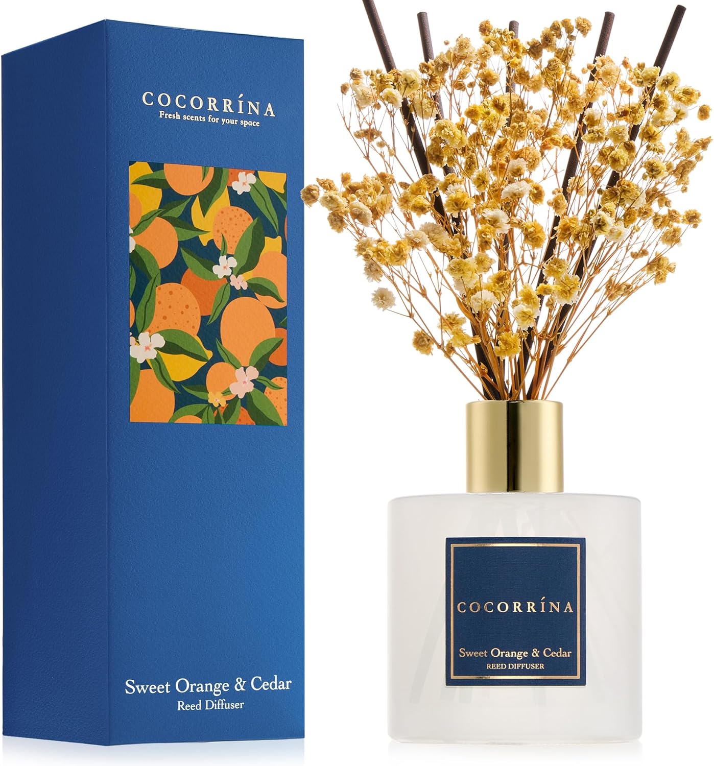 Cocorrína Premium Reed Diffuser Set with Preserved Baby's Breath & Cotton Stick Cashmere Vanilla | 6.7 fl oz Scent Fragrance Oil Diffuser for Bedroom Bathroom Home Décor