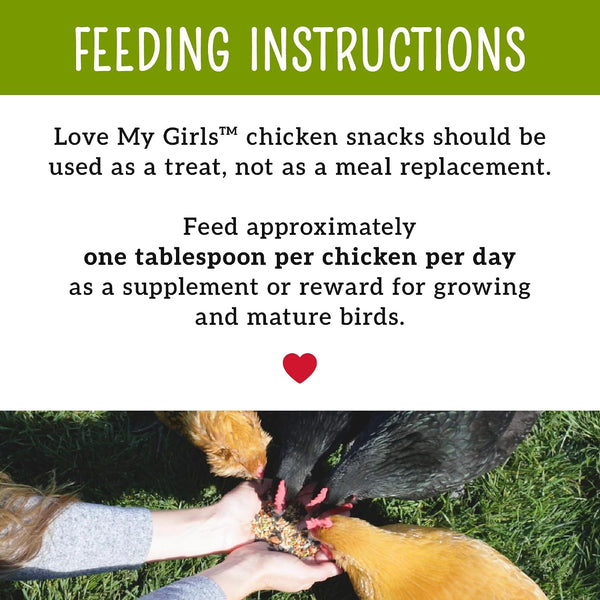 Love My Girls: Chicken Snacks - Fruit & Worms - 5lb Bag - Global Harvest, Gourmet Multi-Grain Treats, Corn-Free, Nutritious & Protein Rich Mealworms